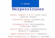 Herpesviruses Herpes simplex I & II (cold sores, genital herpes) Varicella zoster (chicken pox, shingles) Cytomegalovirus (microcephaly, infectious mono)