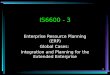 1 IS6600 - 3 Enterprise Resource Planning (ERP) Global Cases: Integration and Planning for the Extended Enterprise