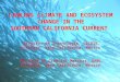 LINKING CLIMATE AND ECOSYSTEM CHANGE IN THE SOUTHERN CALIFORNIA CURRENT División de Oceanología, CICESE, Ensenada, Baja California. México Facultad de