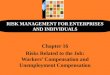 RISK MANAGEMENT FOR ENTERPRISES AND INDIVIDUALS Chapter 16 Risks Related to the Job: Workers’ Compensation and Unemployment Compensation