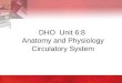 DHO Unit 6:8 Anatomy and Physiology Circulatory System