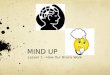 MIND UP Lesson 1 – How Our Brains Work. Lesson 1