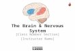 The Brain & Nervous System [Class Number Section] [Instructor Name]