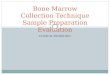CLINICAL PATHOLOGY Bone Marrow Collection Technique Sample Preparation Evaluation