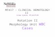 MT417 - CLINICAL HEMATOLOGY II Linda Sykora, MT(ASCP)SH Rotation II Morphology Unit WBC Cases