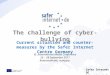 Co-funded by the European Union The challenge of cyber-bullying Current situation and counter-measures by the Safer Internet Centre Germany VI. International