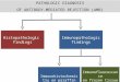 PATHOLOGIC DIAGNOSIS OF ANTIBODY-MEDIATED REJECTION (AMR) Histopathologic findings Immunopathologic findings Immunohistochemistry on paraffin sections