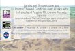 Landscape Temperature and Frozen/Thawed Condition over Alaska with Infrared and Passive Microwave Remote Sensing Determination of Thermal Controls on Land-Atmosphere