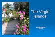 The Virgin Islands Lonely Planet Guide Lonely Planet Guide