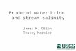 Produced water brine and stream salinity James K. Otton Tracey Mercier