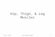 Hip, Thigh, & Leg Muscles 22 Oct. 2012Hip-Thigh-Leg.ppt1