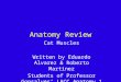 Anatomy Review Cat Muscles Written by Eduardo Alvarez & Roberto Martinez Students of Professor Gonsalves’ LACC Anatomy 1 Class
