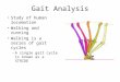 Gait Analysis Study of human locomotion Walking and running Walking is a series of gait cycles –A single gait cycle is known as a STRIDE