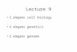 Lecture 9 C. elegans cell biology C. elegans genetics C. elegans genome