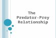 The Predator-Prey Relationship. Part 1: The Meaning & Predicting With your tablemates, discuss the information in part 1 Define the terms Complete the