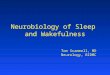 Neurobiology of Sleep and Wakefulness Tom Scammell, MD Neurology, BIDMC