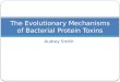 Audrey Smith The Evolutionary Mechanisms of Bacterial Protein Toxins