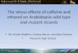 The stress effects of caffeine and ethanol on Arabidopsis wild type and mutant strands By: Kristin Watkins, Lindsay Baum, and Kylie Dickson Monarch High