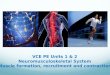 VCE PE Units 1 & 2 Neuromusculoskeletal System Muscle formation, recruitment and contraction
