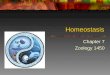 Homeostasis Chapter 7 Zoology 1450. Topics Osmoregulation Osmoregulation Endocrine regulation Endocrine regulation Thermal regulation Thermal regulation