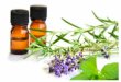 2 Very Good Oils For Gardeners Lavender Lavender anti biotic, healing and encourages new cell growth Majoram: Majoram: a warming oil, prevents cramp