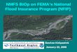 NMFS BiOp on FEMA’s National Flood Insurance Program (NFIP) DeeAnn Kirkpatrick January 22, 2009