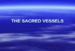 THE SACRED VESSELS  The Church of the New Testament, as Christ’s Bride, offers several special vessels to be used in God’s House, being aware they are