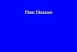 Plant Diseases. Terms Abiotic plant disease—caused by unfavorable growing conditions. Biotic plant disease —caused by plant pathogens. Pathogen- an infectious,