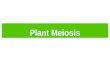 Plant Meiosis. Animals vs. Plants Plant ReproductionAnimal Reproduction Life cycle Alternation of generations No alternation of generations GametesHaploid