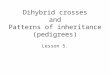 Dihybrid crosses and Patterns of inheritance (pedigrees) Lesson 5