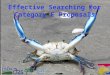 Effective Searching for Category E Proposals Callinectes sapidus