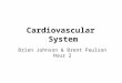 Cardiovascular System Brien Johnson & Brent Paulson Hour 2