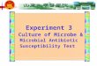 Experiment 3 Culture of Microbe & Microbial Antibiotic Susceptibility Test