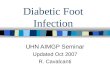 Diabetic Foot Infection UHN AIMGP Seminar Updated Oct 2007 R. Cavalcanti