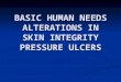 BASIC HUMAN NEEDS ALTERATIONS IN SKIN INTEGRITY PRESSURE ULCERS