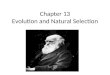 Chapter 13 Evolution and Natural Selection. Evolution Evolution is a change in the frequency of genetically determined characteristics within a population