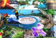 Welcome to the Costa Rica Experts virtual tour book Hopping you and yours be fine and sending you regards we want to introduce our small company but with