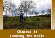 Chapter 11 Feeding the World. Global Undernutrition