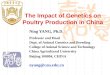 The Impact of Genetics on Poultry Production in China Ning YANG, Ph.D. Professor and Head Dept. of Animal Genetics and Breeding College of Animal Science