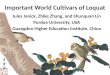 Important World Cultivars of Loquat Jules Janick, Zhike Zhang, and Shunquan Lin Purdue University, USA Guangdon Higher Education Institute, China