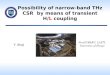 Possibility of narrow-band THz CSR by means of transient H/L coupling NewSUBARU, LASTI, University of Hyogo Y. Shoji