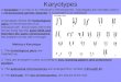 Karyotypes A karyotype is a map of an individual’s chromosomes. Karyotypes are normally used if a chromosomal genetic disorder is suspected in an individual