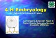 4-H Embryology 4-H School Enrichment Project Lori Wiggins, Extension Agent III Taylor County Extension Service/ University of Florida