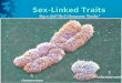 Sex-Linked Traits X chromosome Y chromosome Boy or Girl? The Y Chromosome “Decides”