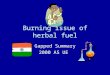 Burning issue of herbal fuel Gapped Summary 2000 AS UE