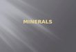 Minerals-Nutrients needed in small amounts to perform various functions in the body.  Macromineral-Minerals required in the diet in amounts of 100