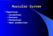 Muscular System Function – Locomotion – Posture – Protection – Heat production