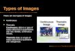Types of Images There are two types of images: Continuous Thematic Continuous data is a type of raster data that is quantitative and has related, continuous