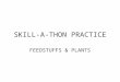 SKILL-A-THON PRACTICE FEEDSTUFFS & PLANTS. FEEDSTUFFS Shelled Corn
