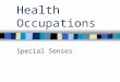 Health Occupations Special Senses. Functions of our special senses Allows human body to react to environment Enables the body to –See –Hear –Taste –Balance
